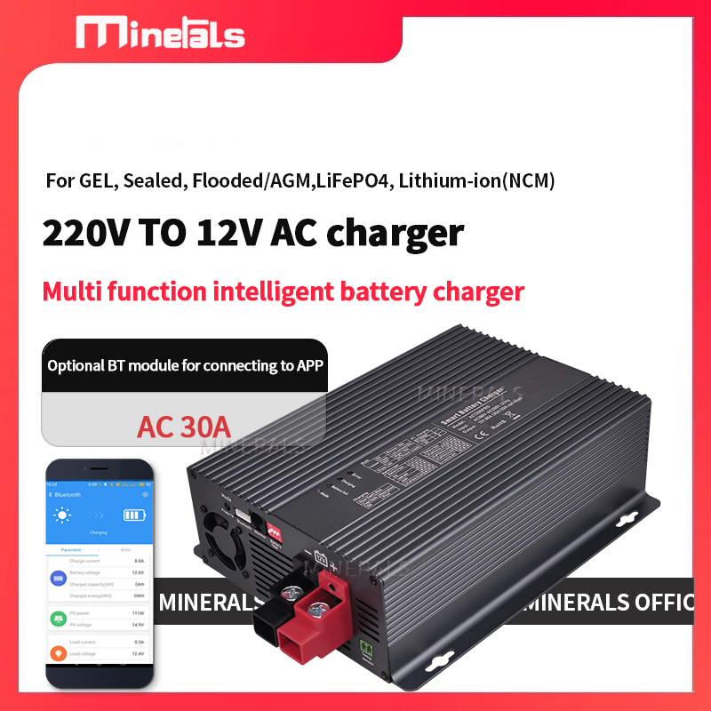 Lithium Battery 12V - Cargador de Baterías Inteligente AC a